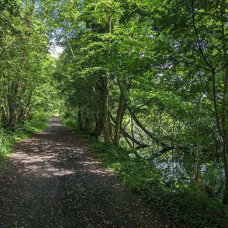 Le Nid De Mazerolles