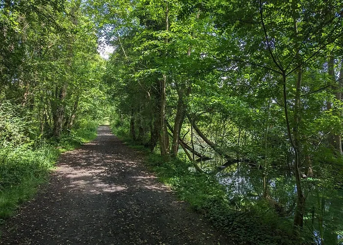 Le Nid De Mazerolles